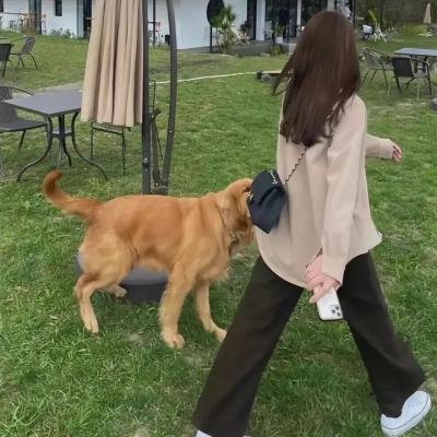 我的僵尸女儿
